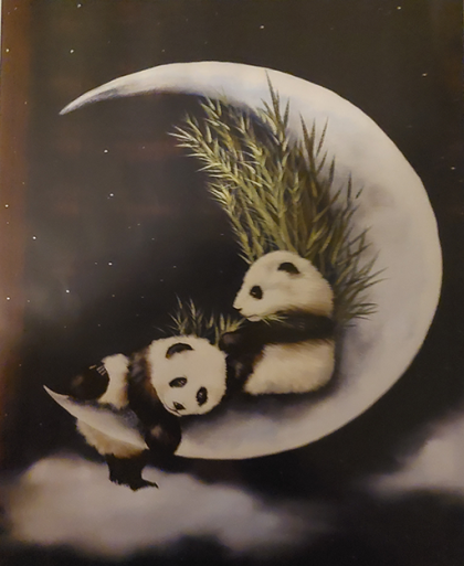 ❤ Panda's op een maan